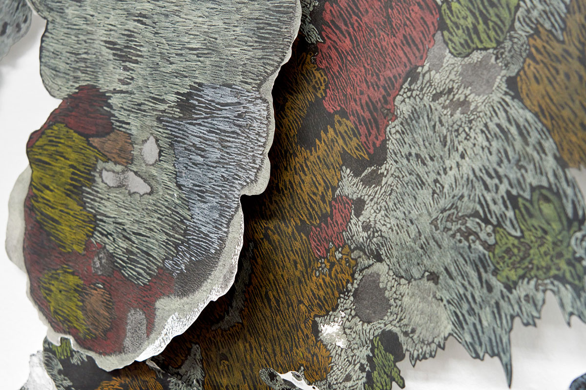 24_Rhizome_Detail_ink and pencil on paper_Aschaffenburg_2022